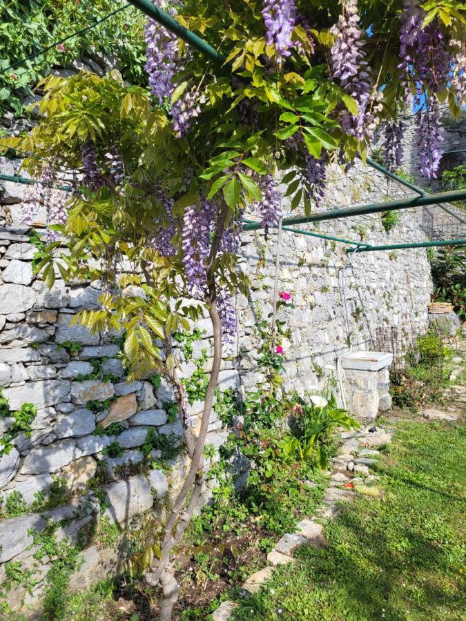La Bouganvilla Porto Venere Exterior photo